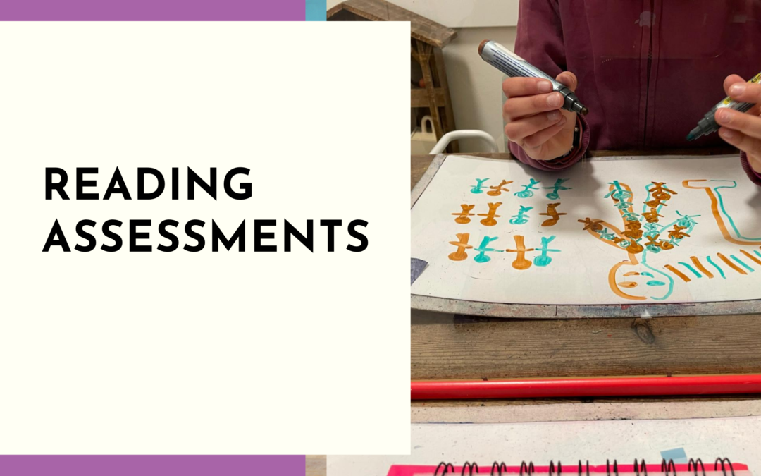 Are reading assessments effective?